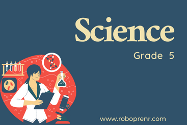 Grade 5 - Science