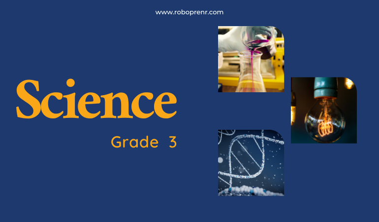 Grade 3 - Science
