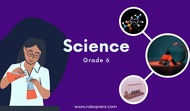 Grade 6 - Science
